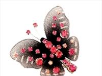 Pepementa Collezione Donna Autunno Inverno 2008/2009