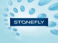 Stonefly